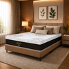 Conjunto Cama Box Queen 158x198 Petrus Ortobom com Base Camurça