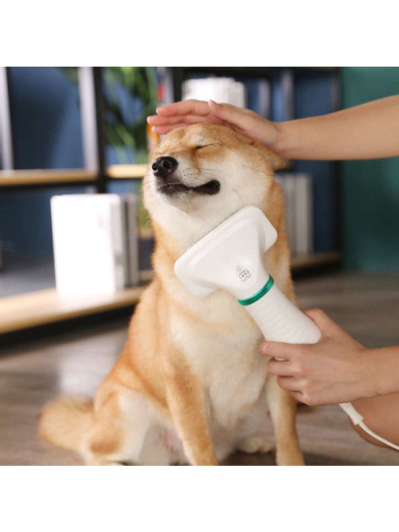 Escova Secadora De Pelos Para Pet Cachorro Gat