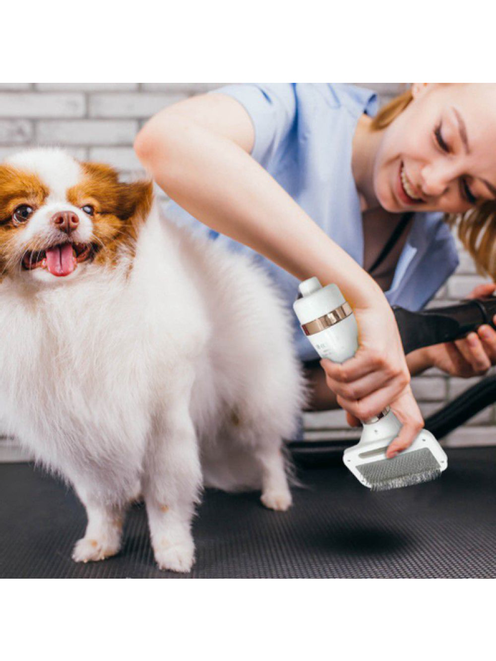 Escova Secadora De Pelos Para Pet Cachorro Gat