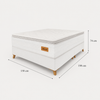 Cama Box King Molas Ensacadas 198x198cm Moscou Topázio