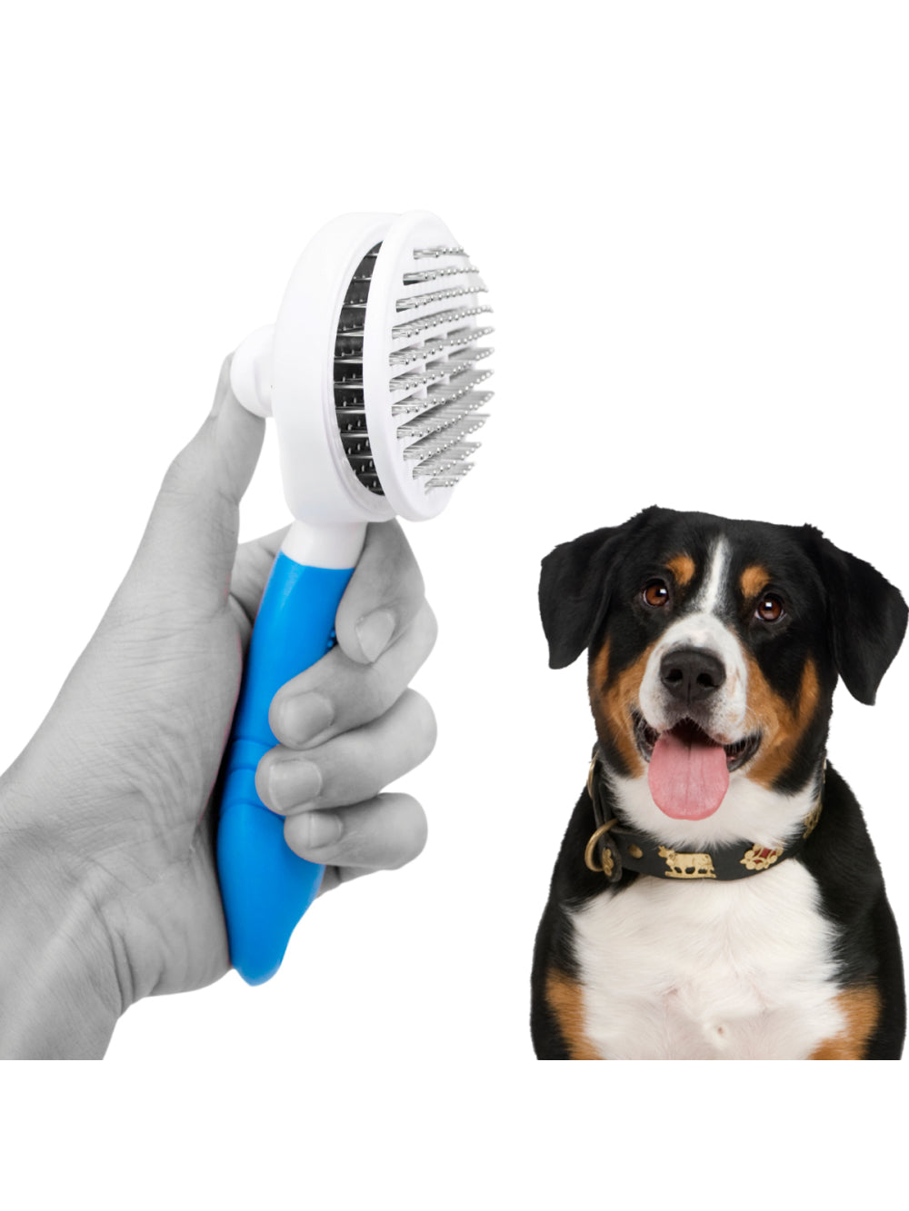 Rasqueadeira Removedor Tira Pelos Pet Animais Gato Cachorro