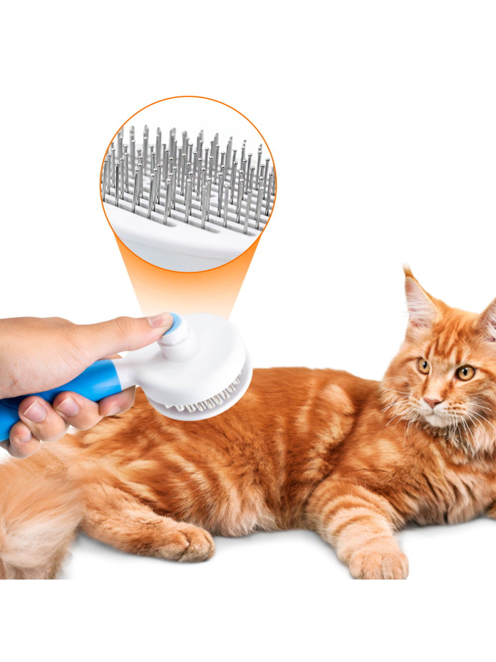 Rasqueadeira Removedor Tira Pelos Pet Animais Gato Cachorro