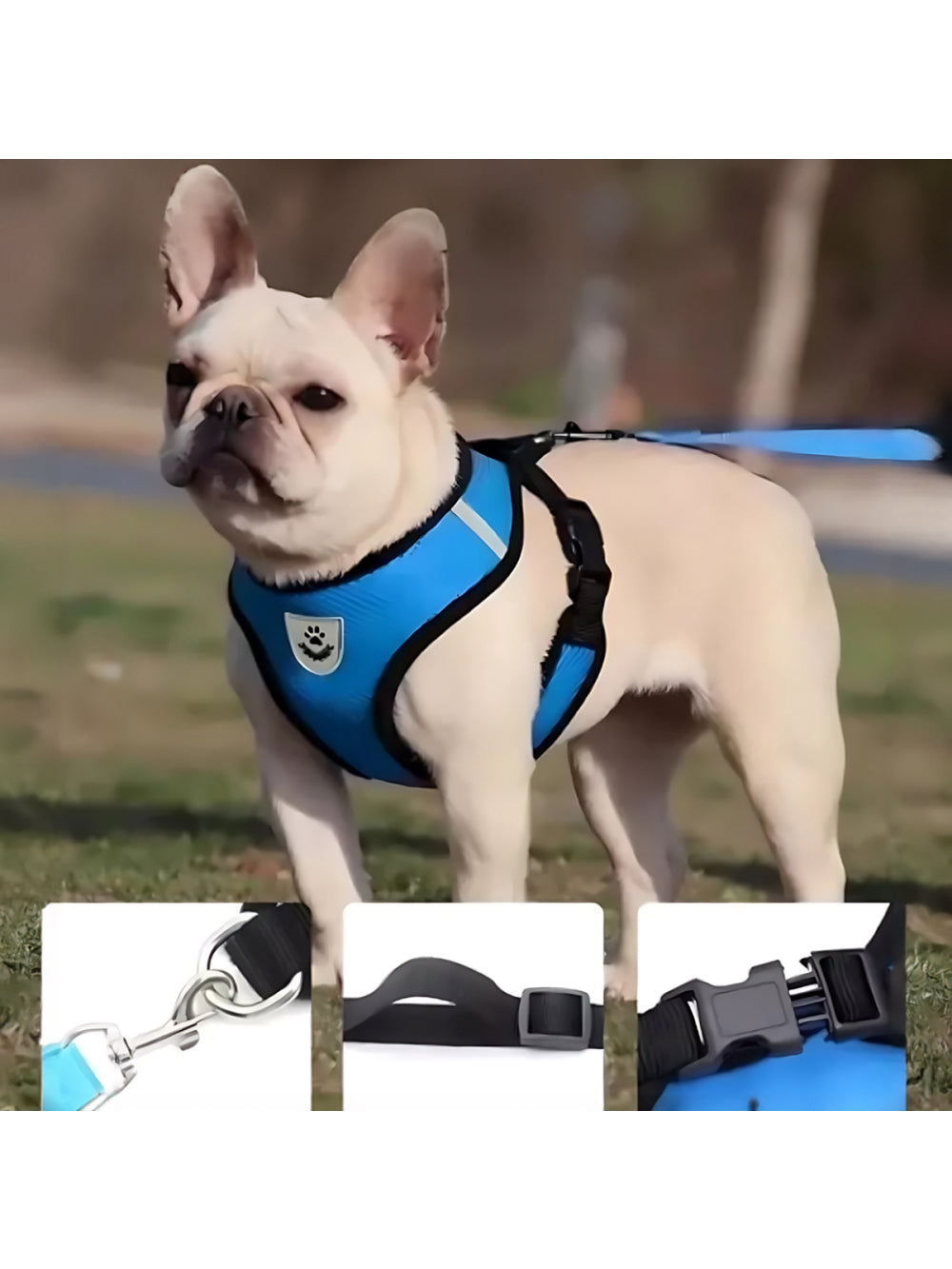 Coleira Peitoral Refletivo Com Guia Cachorro Cães Gato Pet Azul Tamanho:XL(GG)
