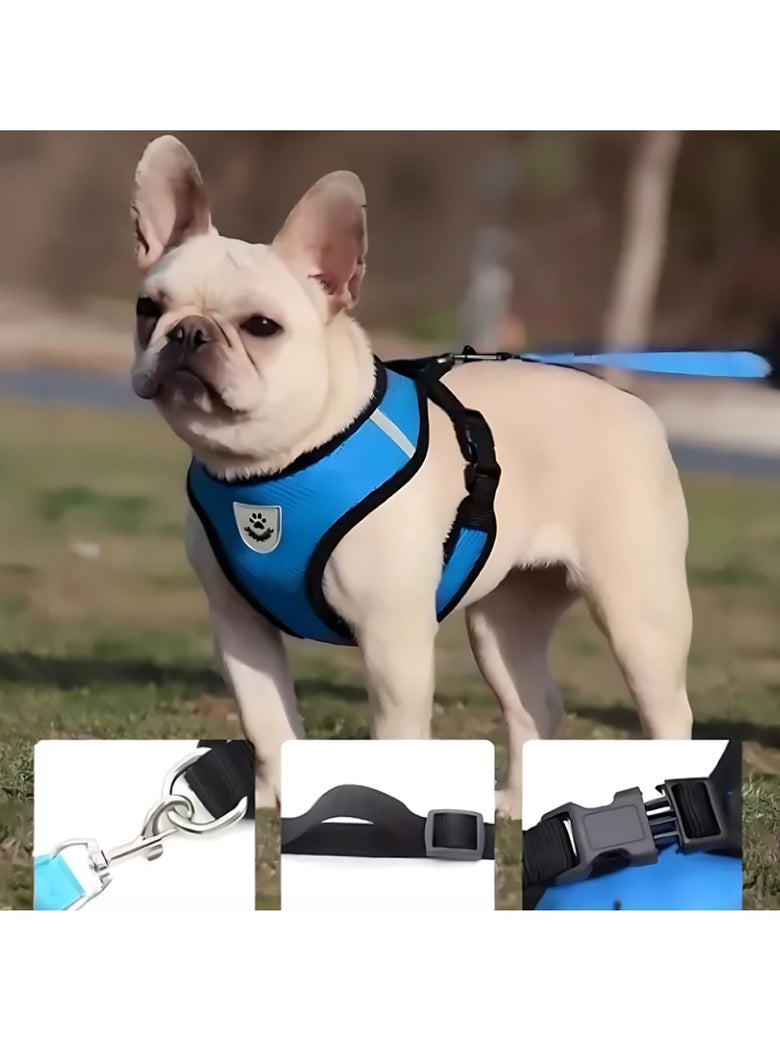 Coleira Peitoral Refletivo Com Guia Cachorro Cães Gato Pet Azul Tamanho:XL(GG)