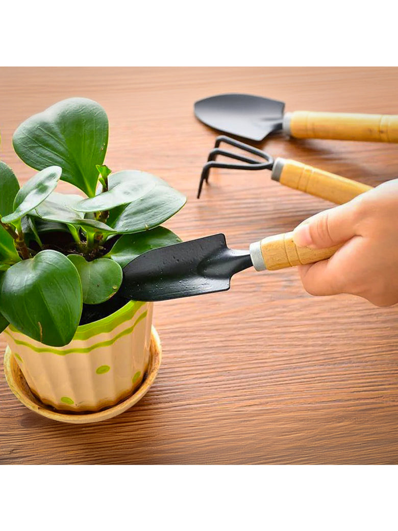 Kit 3 Peças Ferramentas Jardinagem Jardim Horta Pá Ancinho