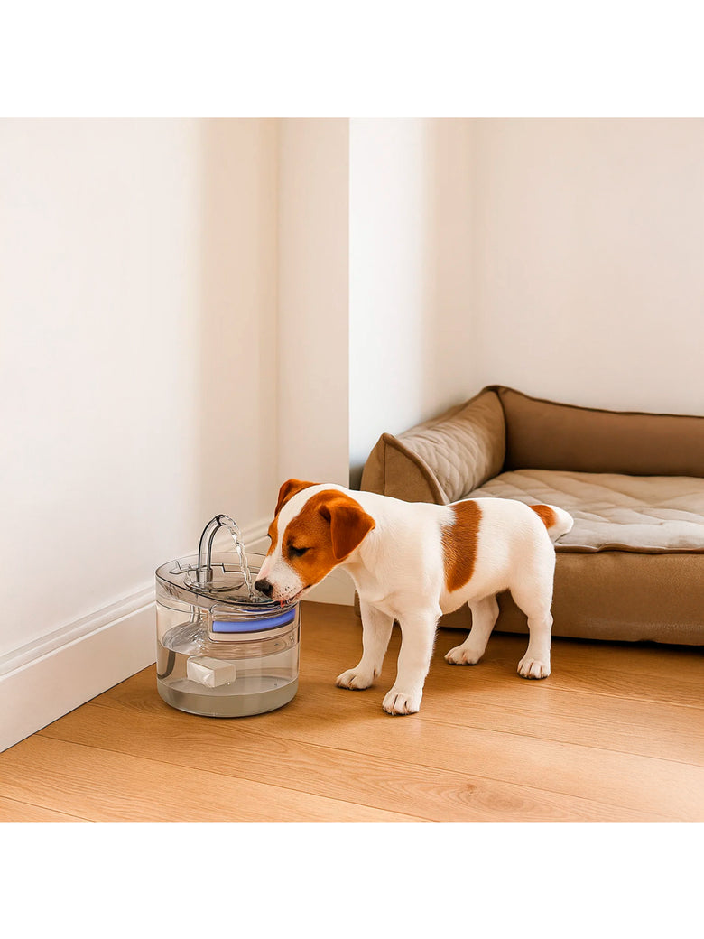 Bebedouro Fonte de Água para Pets Hidratação
