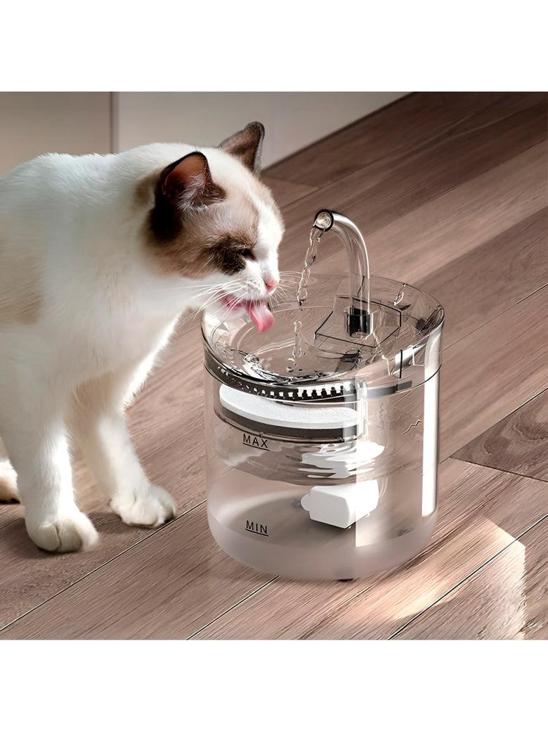 Bebedouro Fonte de Água para Pets Hidratação