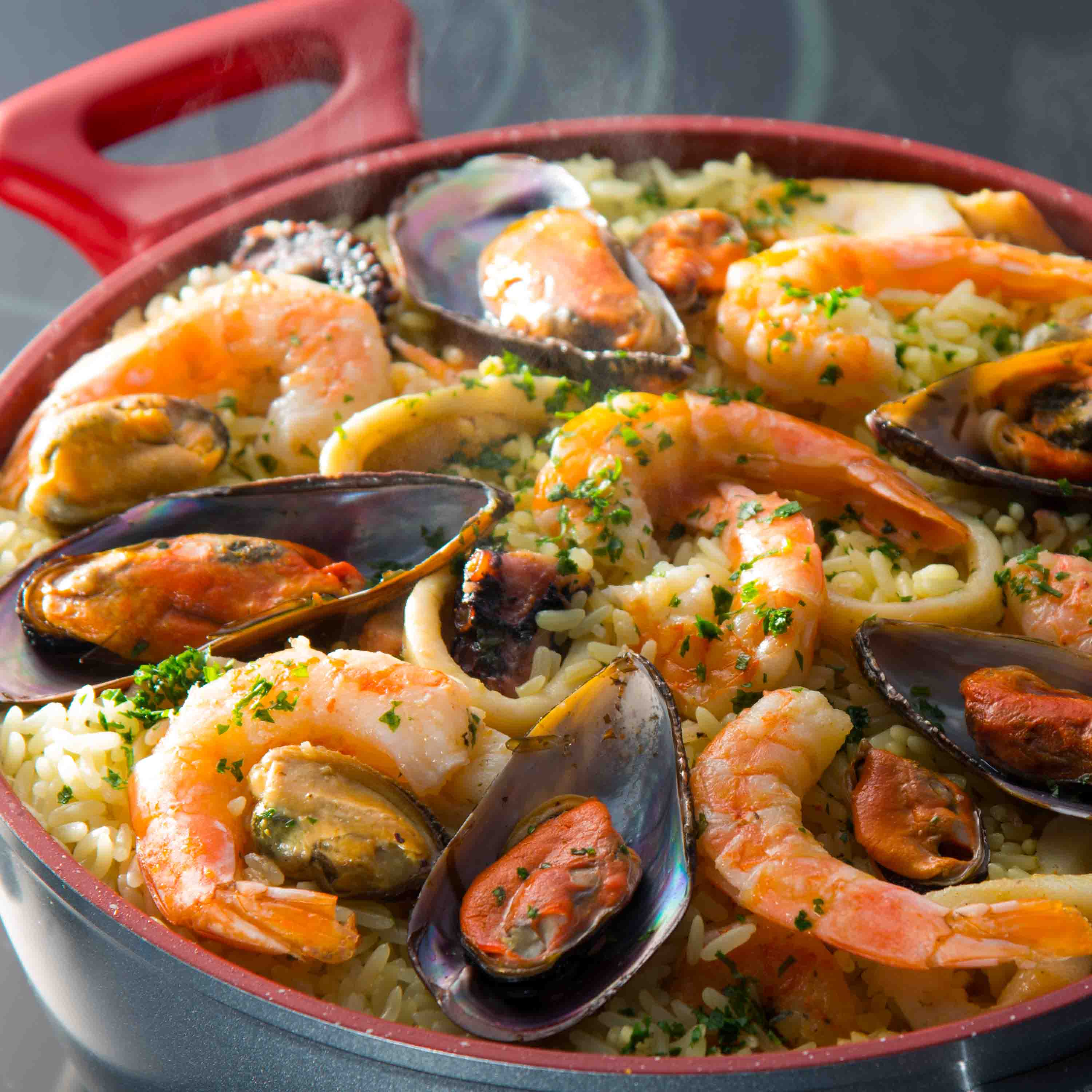 Panela Polishop Family Size 24cm