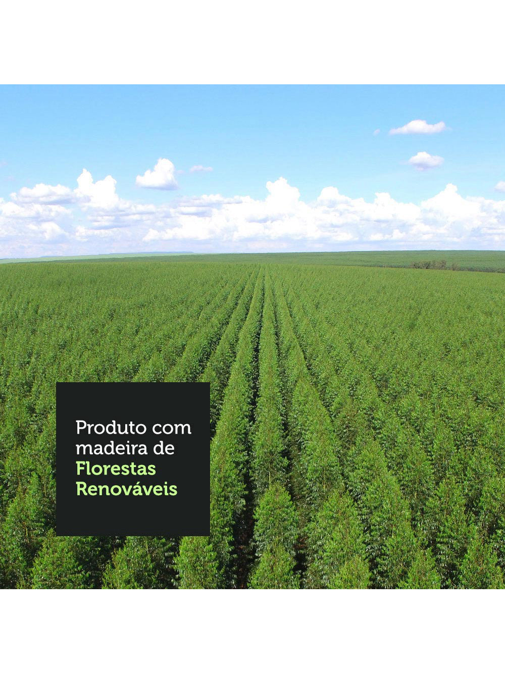 Armário de Cozinha Completa 270cm Rustic Jade Madesa 09